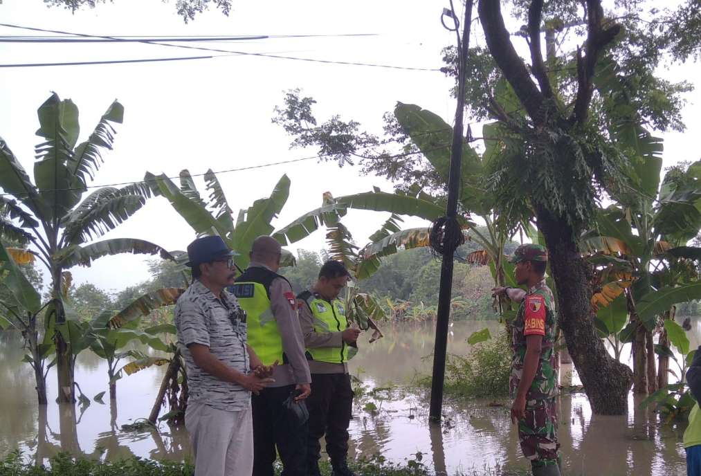 Img 20250517 wa0074 copy 1013x688