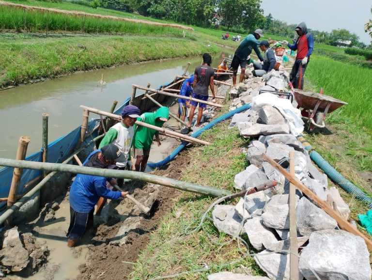 Img 20250531 wa0015 768x578