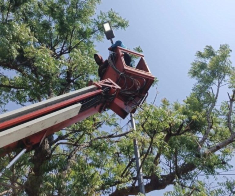 Img 20250909 065232 768x639