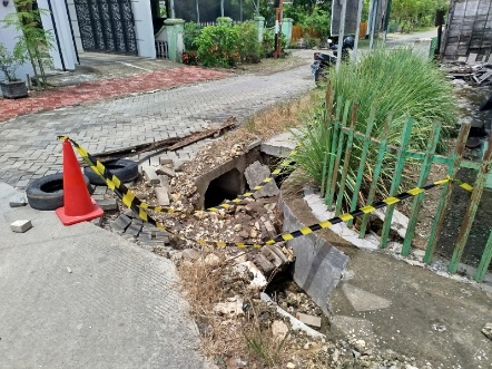 Img 20251111 wa0091 copy 442x331