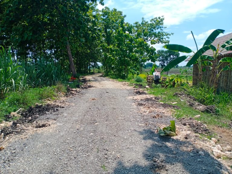 Img 20251208 wa0009 768x576