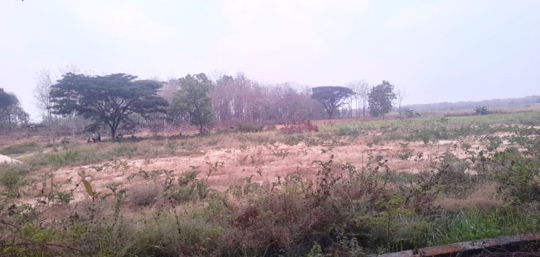 IMG 20260919 155559 768x366